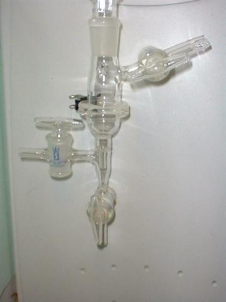 scientific (41).jpg