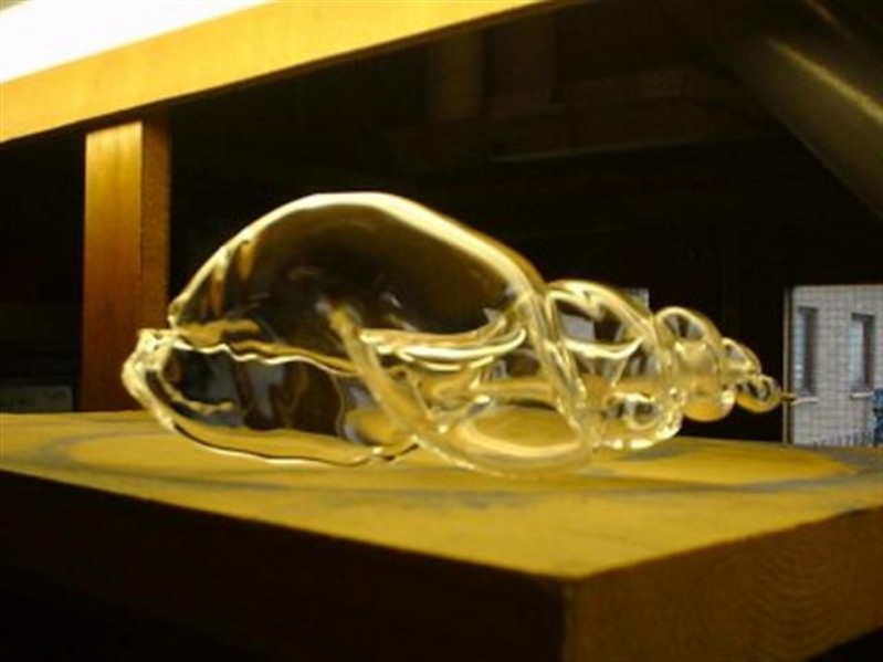 scientific (76).jpg