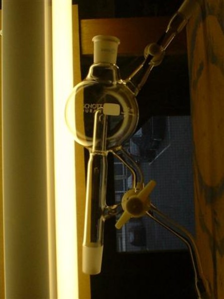 scientific (97).jpg